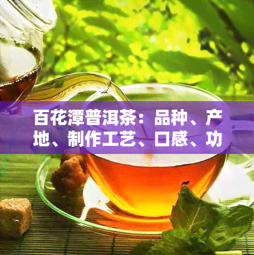 百花潭普洱茶：品种、产地、制作工艺、口感、功效等全方位介绍