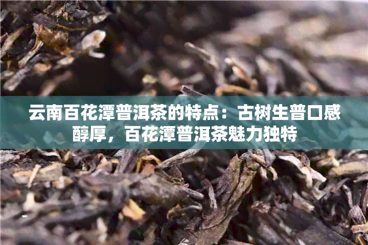 云南百花潭普洱茶的特点：古树生普口感醇厚，百花潭普洱茶魅力独特