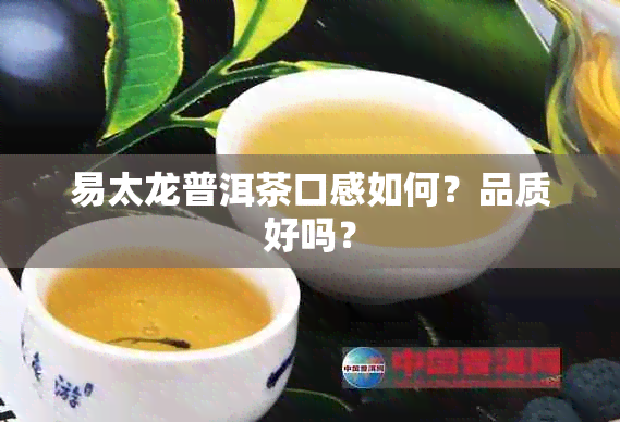 易太龙普洱茶口感如何？品质好吗？