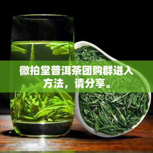 微拍堂普洱茶团购群进入方法，请分享。