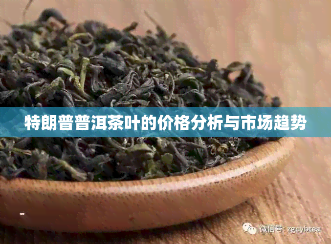 特朗普普洱茶叶的价格分析与市场趋势