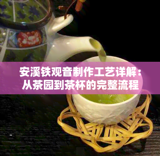 安溪铁观音制作工艺详解：从茶园到茶杯的完整流程