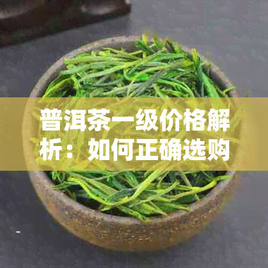 普洱茶一级价格解析：如何正确选购与评估？