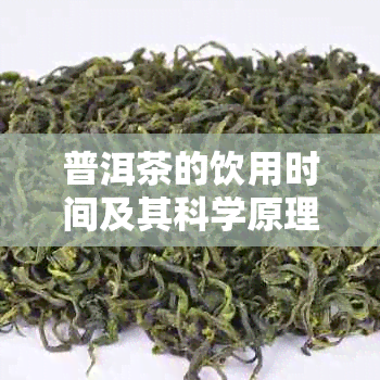 普洱茶的饮用时间及其科学原理解析