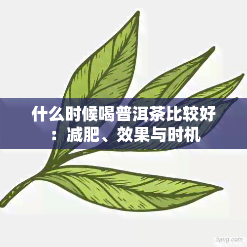 什么时候喝普洱茶比较好：减肥、效果与时机