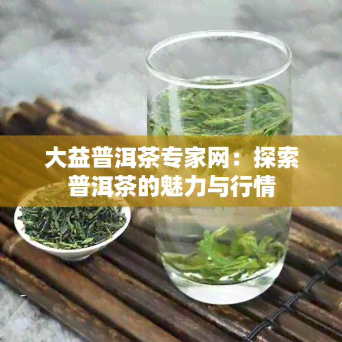 大益普洱茶专家网：探索普洱茶的魅力与行情