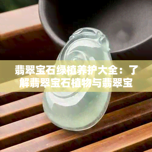 翡翠宝石绿植养护大全：了解翡翠宝石植物与翡翠宝石花的养殖方法