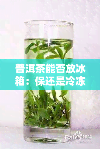 普洱茶能否放冰箱：保还是冷冻？