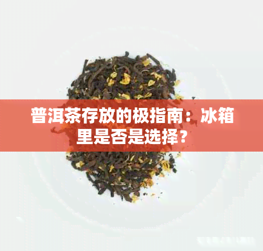 普洱茶存放的极指南：冰箱里是否是选择？