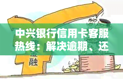 中兴银行信用卡客服热线：解决逾期、还款及查询相关问题的专业电话