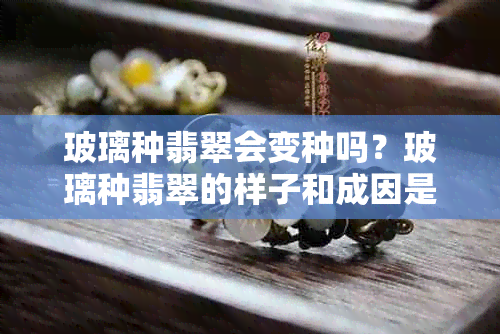 玻璃种翡翠会变种吗？玻璃种翡翠的样子和成因是什么？