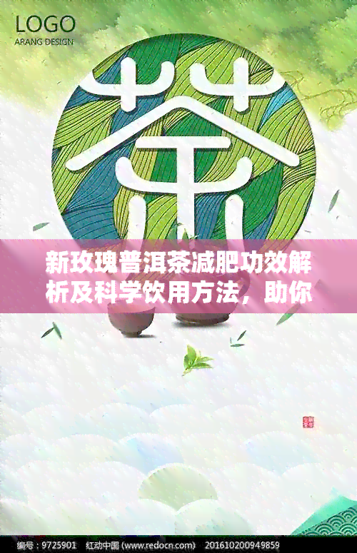 新玫瑰普洱茶减肥功效解析及科学饮用方法，助你轻松瘦身！