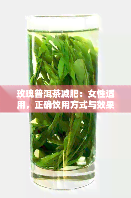 玫瑰普洱茶减肥：女性适用，正确饮用方式与效果