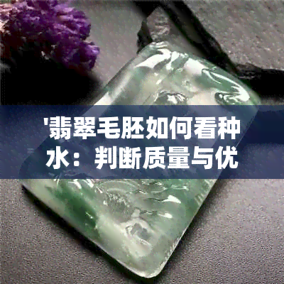 '翡翠毛胚如何看种水：判断质量与优劣的技巧'