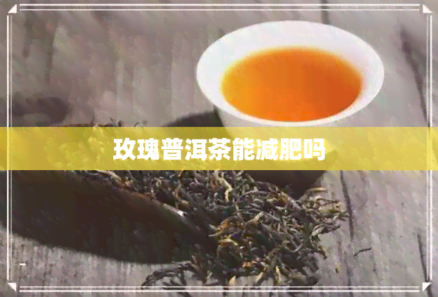 玫瑰普洱茶能减肥吗