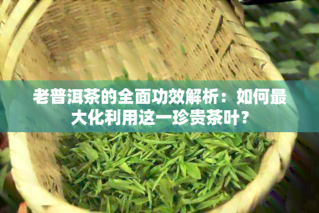 老普洱茶的全面功效解析：如何更大化利用这一珍贵茶叶？