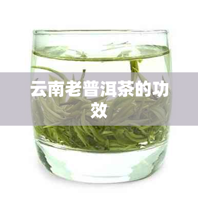 云南老普洱茶的功效