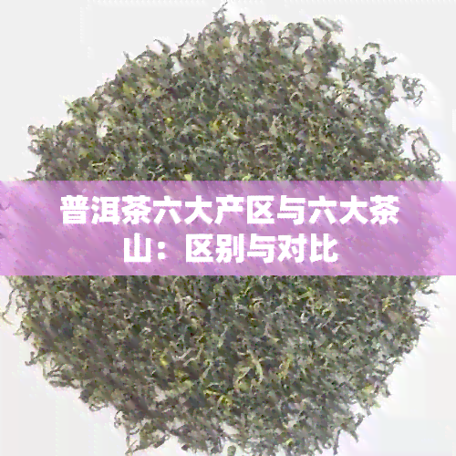 普洱茶六大产区与六大茶山：区别与对比