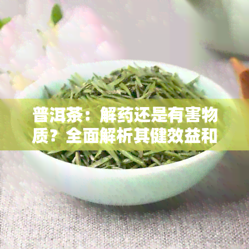 普洱茶：解还是有害物质？全面解析其健效益和潜在风险