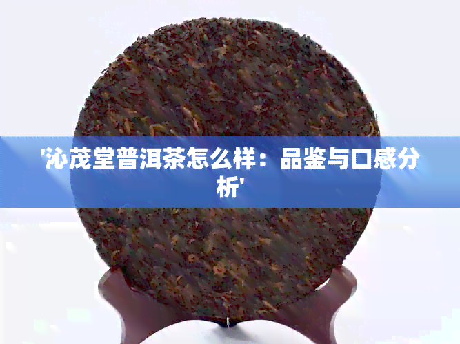 '沁茂堂普洱茶怎么样：品鉴与口感分析'