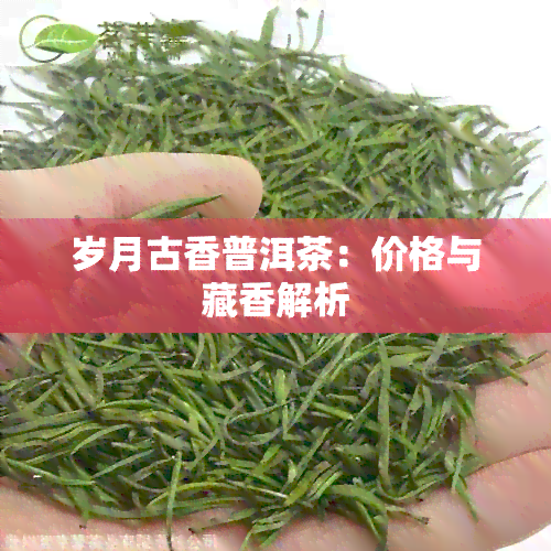 岁月古香普洱茶：价格与藏香解析