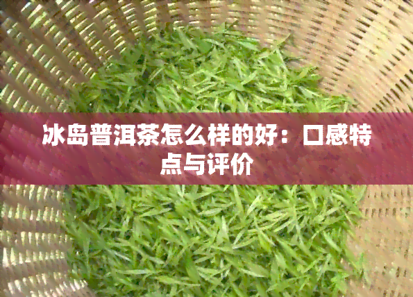 冰岛普洱茶怎么样的好：口感特点与评价