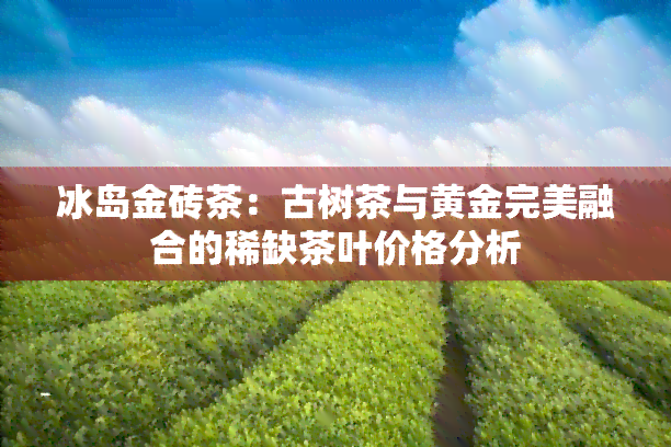 冰岛金砖茶：古树茶与黄金完美融合的稀缺茶叶价格分析