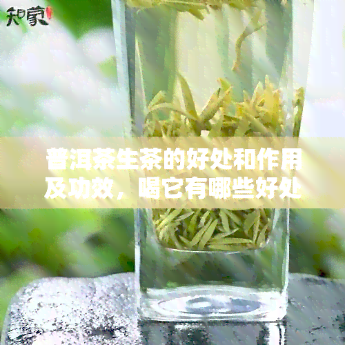 普洱茶生茶的好处和作用及功效，喝它有哪些好处和效果？