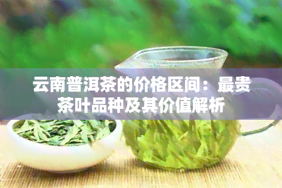 云南普洱茶的价格区间：最贵茶叶品种及其价值解析