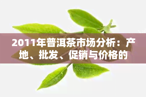 2011年普洱茶市场分析：产地、批发、促销与价格的关系