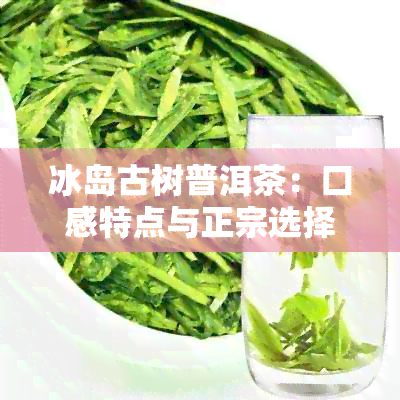 冰岛古树普洱茶：口感特点与正宗选择