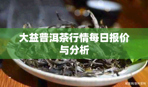 大益普洱茶行情每日报价与分析