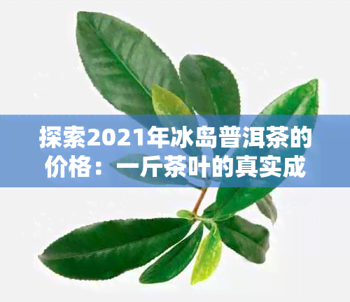 探索2021年冰岛普洱茶的价格：一斤茶叶的真实成本与市场行情分析