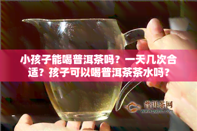 小孩子能喝普洱茶吗？一天几次合适？孩子可以喝普洱茶茶水吗？