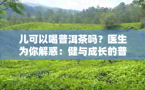 儿可以喝普洱茶吗？医生为你解惑：健与成长的普洱茶选择