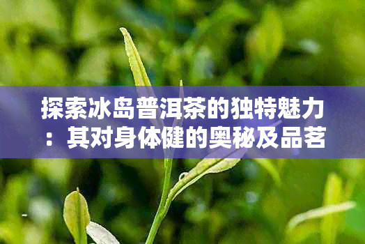 探索冰岛普洱茶的独特魅力：其对身体健的奥秘及品茗之道