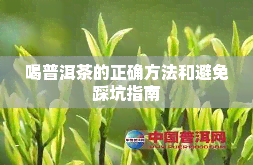 喝普洱茶的正确方法和避免踩坑指南