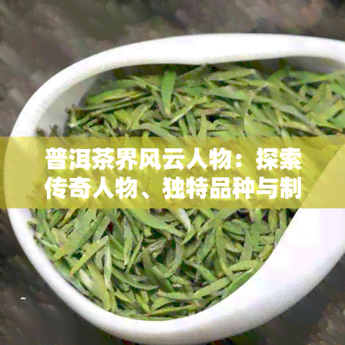 普洱茶界风云人物：探索传奇人物、独特品种与制作工艺的完整指南