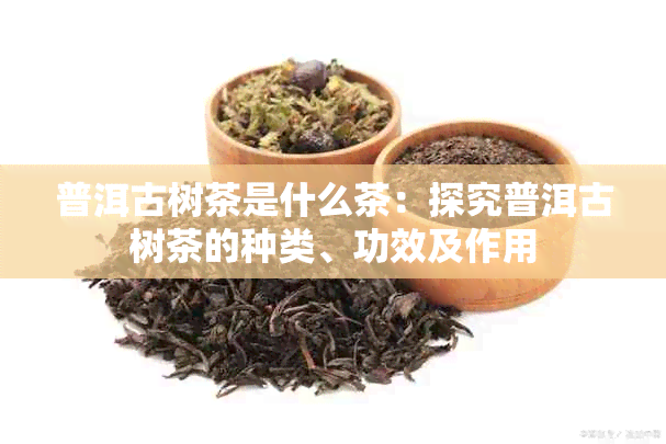 普洱古树茶是什么茶：探究普洱古树茶的种类、功效及作用