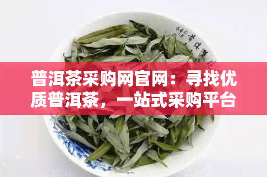 普洱茶采购网官网：寻找优质普洱茶，一站式采购平台等你来！