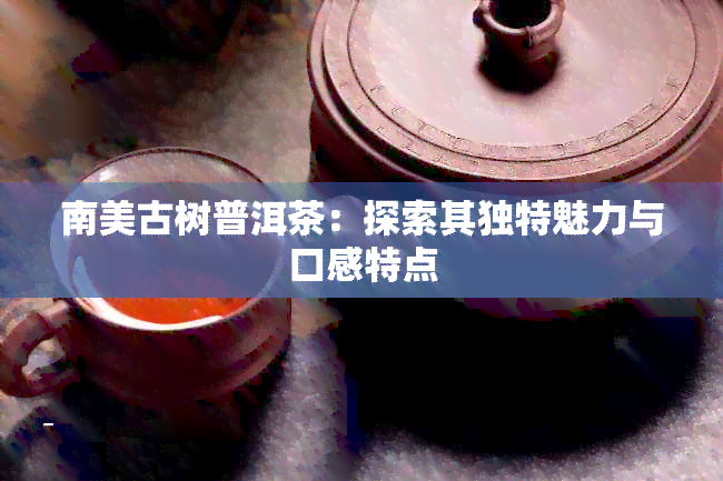 南美古树普洱茶：探索其独特魅力与口感特点