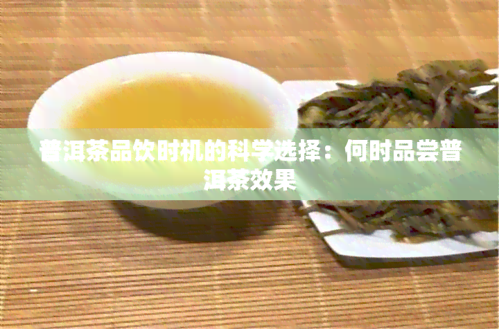 普洱茶品饮时机的科学选择：何时品尝普洱茶效果