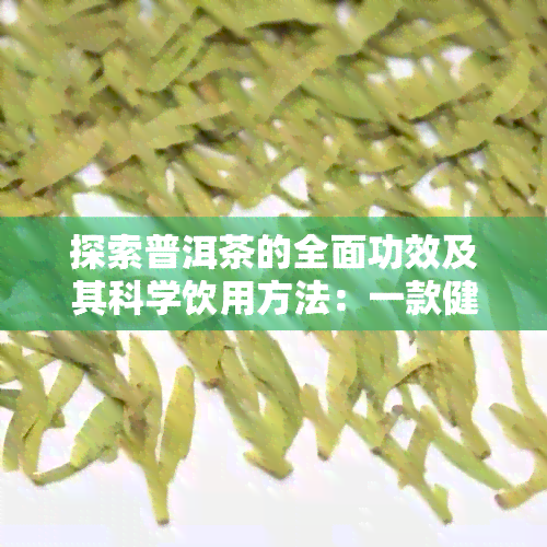 探索普洱茶的全面功效及其科学饮用方法：一款健生活的完美选择