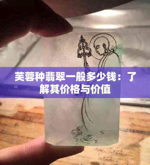 芙蓉种翡翠一般多少钱：了解其价格与价值