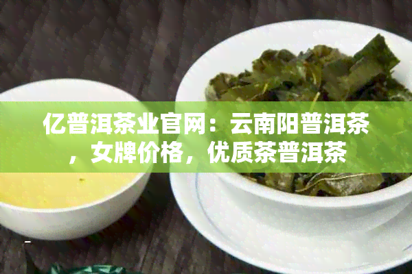 亿普洱茶业官网：云南阳普洱茶，女牌价格，优质茶普洱茶