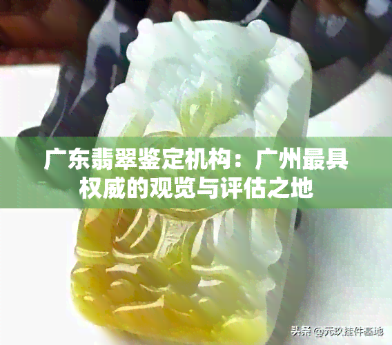 广东翡翠鉴定机构：广州更具权威的观览与评估之地