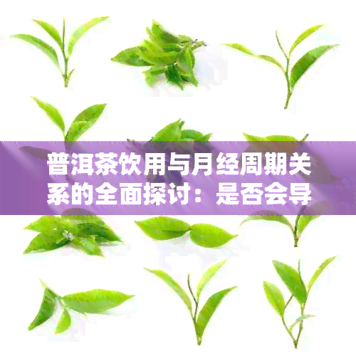 普洱茶饮用与月经周期关系的全面探讨：是否会导致推或影响经血量？