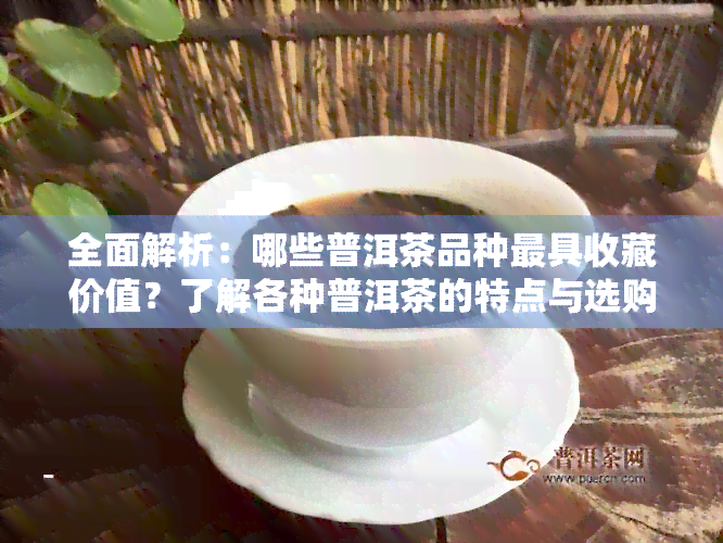 全面解析：哪些普洱茶品种更具收藏价值？了解各种普洱茶的特点与选购建议