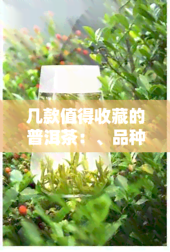 几款值得收藏的普洱茶：、品种和推荐