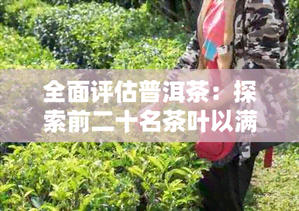 全面评估普洱茶：探索前二十名茶叶以满足您各种口味需求